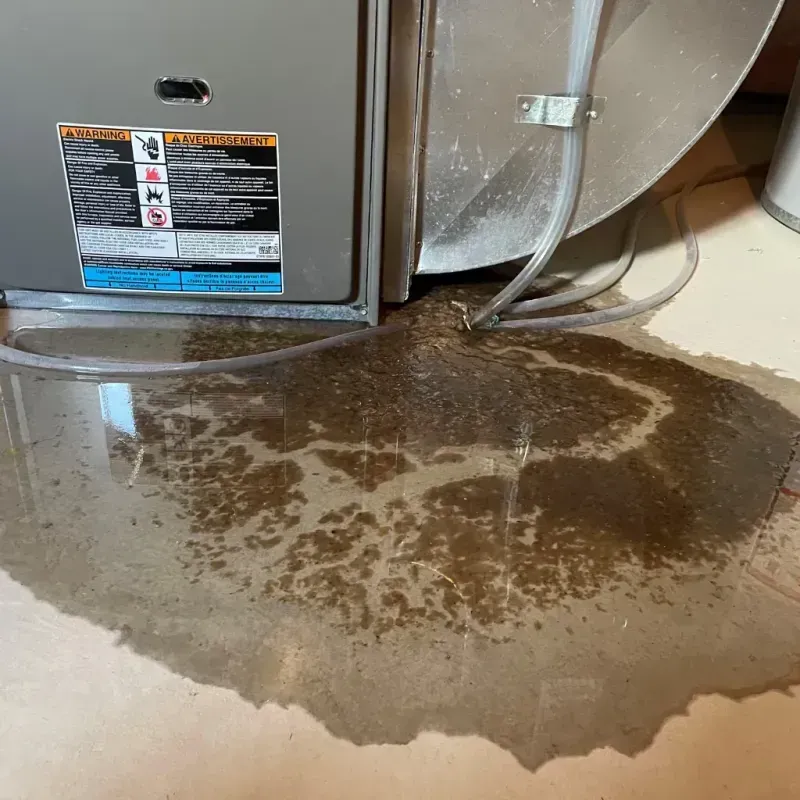 Appliance Leak Cleanup in Bradner, OH